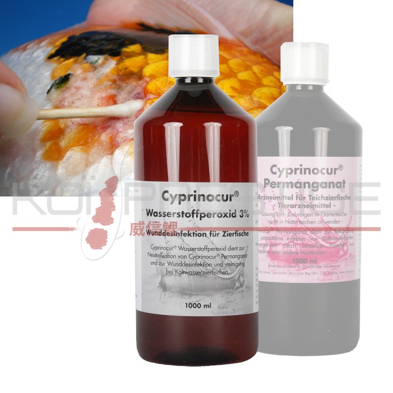 Peroxyde d'hydrogène 3 % (Peroxyde 10 vol) en bouteille, Médical